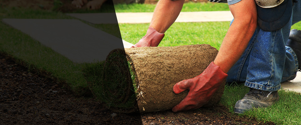 La Feria Landscapers